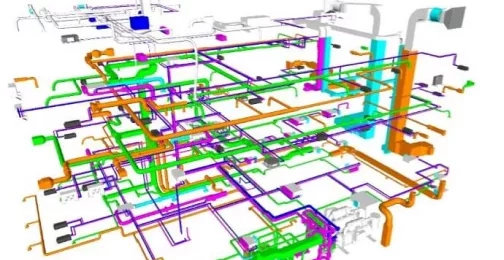 BIM image